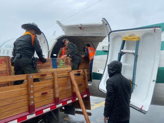 Transporte de aves rescatadas