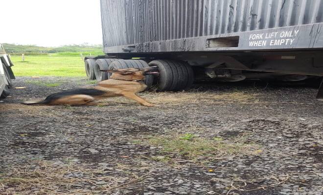 UN GRAN ENTRENAMIENTO