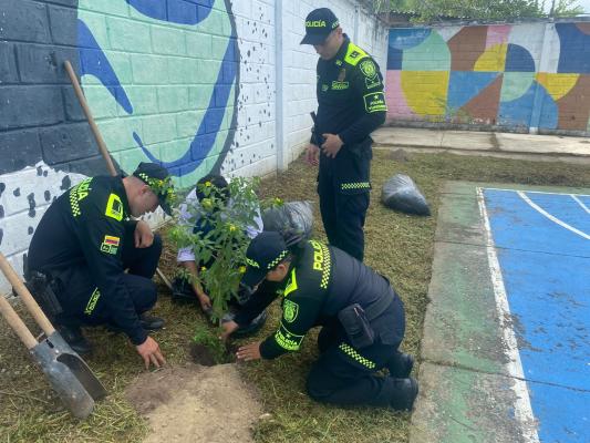 Raíces de convivencia