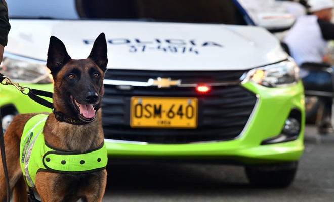 foto de veh&iacute;culo institucional y canino