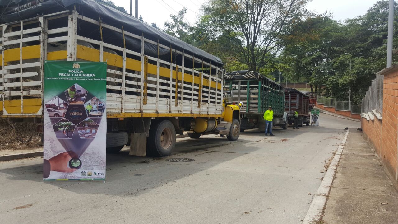 Incautación Ganado Policía de santander