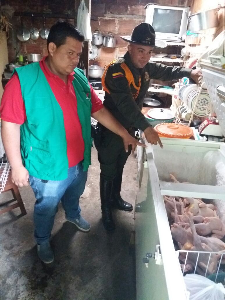 Matadero clandestino de aves fue clausurado por la Policía Nacional