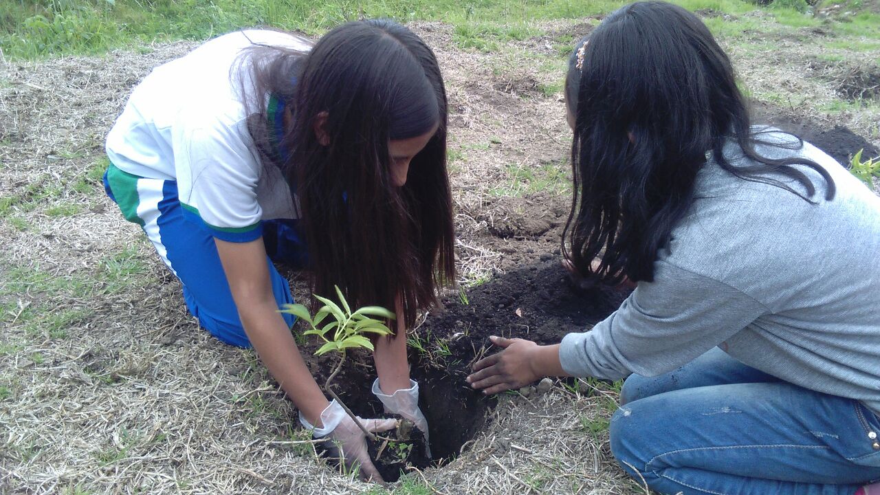 De esta forma los niños sembraron los arbolitos