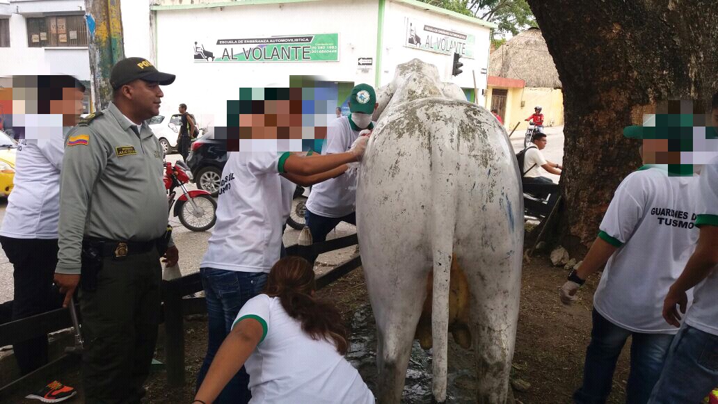 Monumento las vacas de Sincelejo