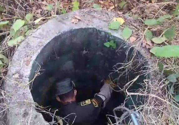 El canino de raza criolla fue devuelto a sus propietarios sanos y salvo