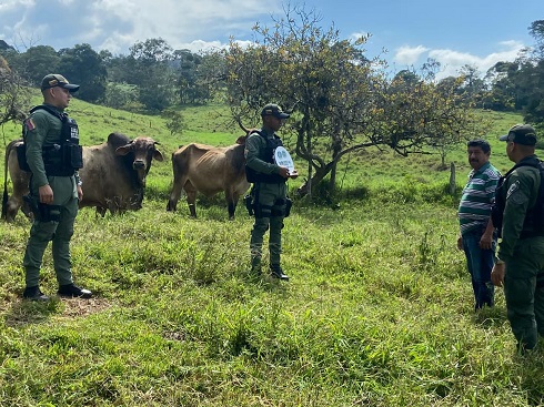 Suplantación de grupos armados falso accidente, falso servicio y falsa encomienda