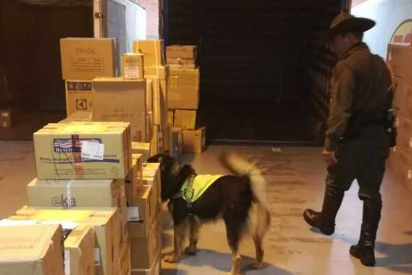 Zeus, un gran amigo que nos ayuda en la luchas en contra de las drogas ilegales