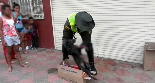 su_vida_nuestro_compromiso