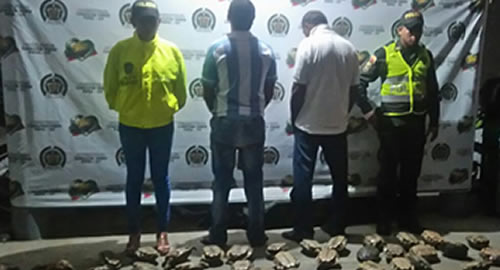 recuperadas-80-tortugas