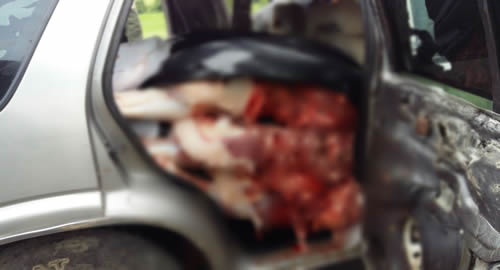 carne-incautada-cucuta