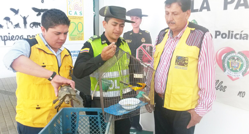 270715-actividad-ecologia-ambiental-animales-santander