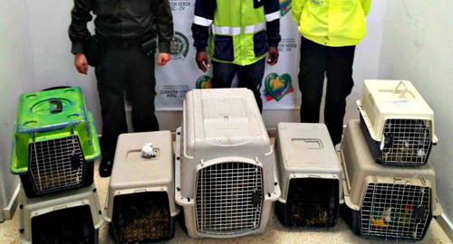 290915-animales-policia