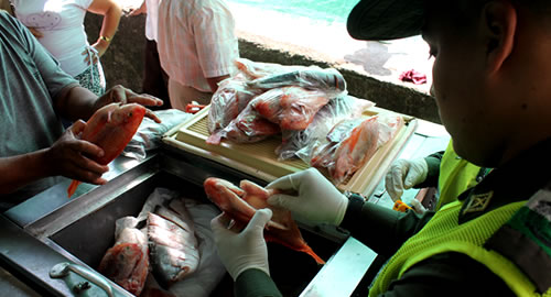 tenga_cuidado_almomento_decomprar