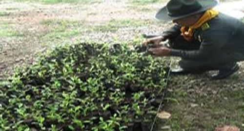 sembrando futuro en los humedales