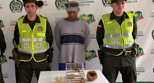 200315-captura-especie-ave-antioquia