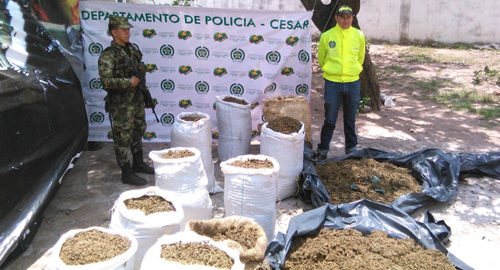 230815-incautacion-marihuana-policia-ejercito