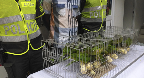 240715-incautacion-animales-30-cartagena-captura-hombre