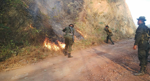apaga incendio tolima