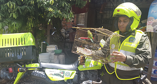 160615-rescate-aves-cautiverio-Antioquia