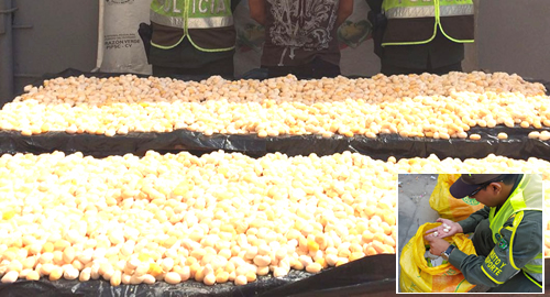 policia-iguana-huevos-decomisados-control-vial-Bolivar