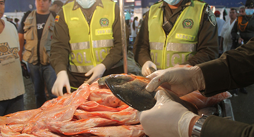 010415-control-venta-pez-cucuta