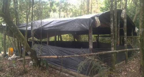 210915-laboratorio-destruccion-coca-quimicos-cauca-policia