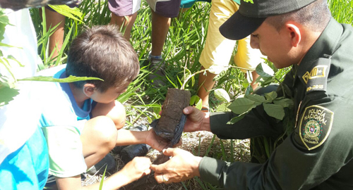 141015-actividad-ciembra-arboles-santander