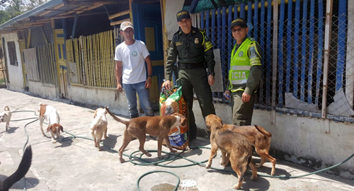 caninos-huellitas-policia-transito y transporte