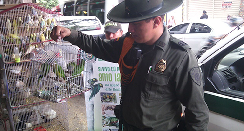 310315-operativos ambientales