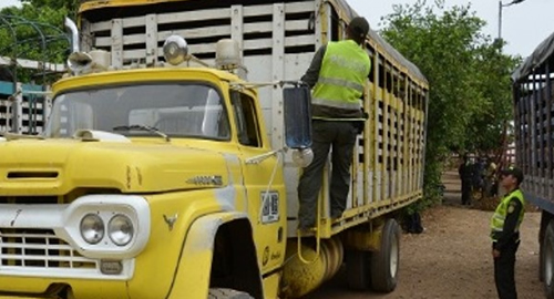 POLICÍA EJERCE CONTUNDENTES ACCIONES PARA LA PREVENCIÓN DEL ABIGEATO
