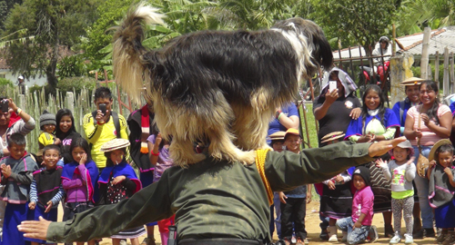 111215-actividad-indigenas-cauca-polica
