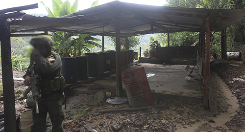 181214-norte-santander-destrucion-coca