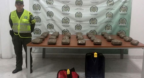 incauto_27mil_dosis_marihuana