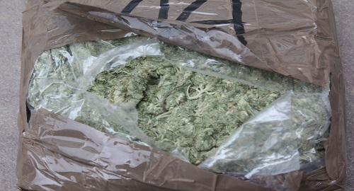 051214-marihuana-incautada-putumayo