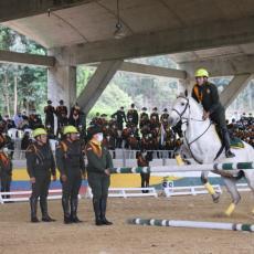Curso de Preparador de Ganado Equino